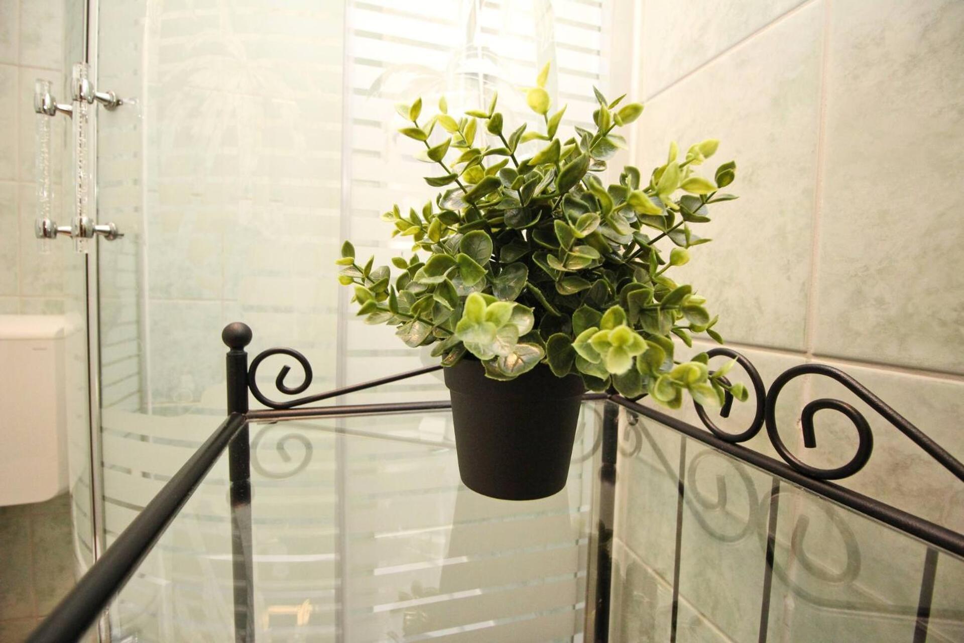 Apartments Rozanda 巴斯卡 外观 照片